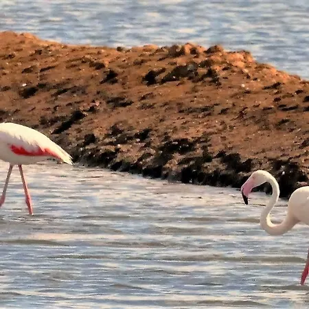 Marimar * Conceição
